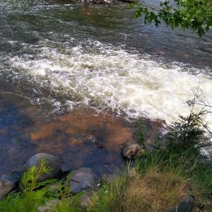 Meet your Posher, Faith